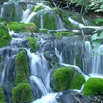Glavica *